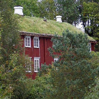 Annonsebilde