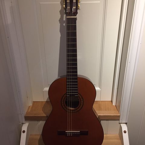Gitar, med stativ og veske | FINN.no Gitar, med stativ og veske | FINN.no