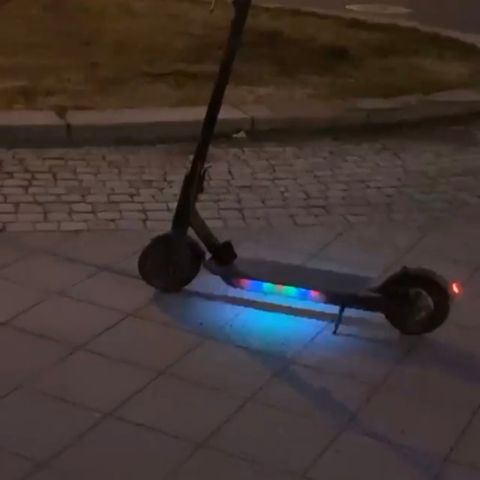 Ninebot ES1ES2ES4 + Xiaomi M365: ORIGINAL lader (ikke kjøp Lader For Xiaomi Mi M365, Segway Ninebot ES1 ES2 ES4