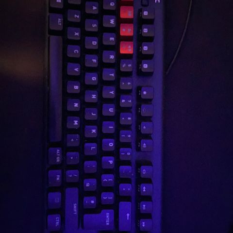 Apex 7 TKL mekanisk tastatur, lite brukt | FINN.no Apex 7 TKL mekanisk tastatur, lite brukt | FINN.no