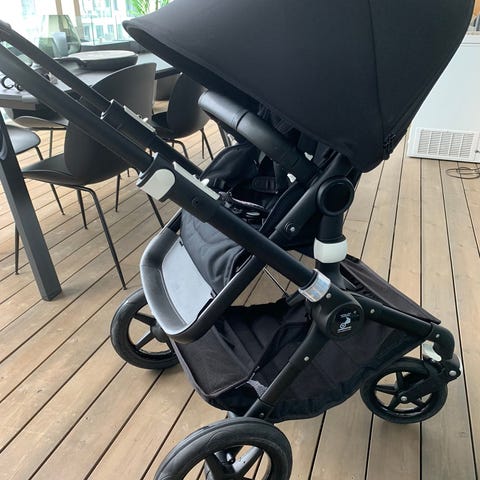 sportsdel bugaboo fox