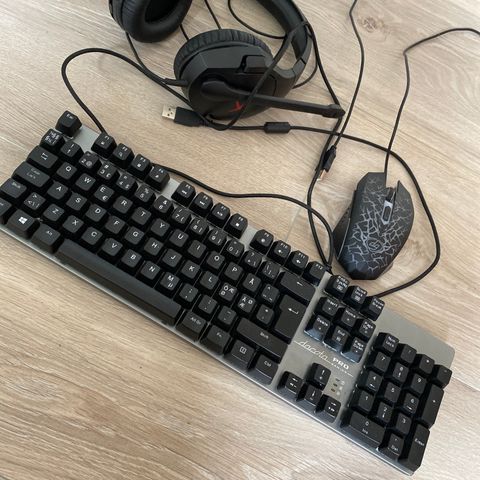 Tastatur, Datamus og Headset 800kr PAKKE | FINN.no L33T tastatur og headsett | FINN.no