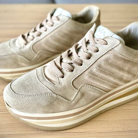 gazelle 38