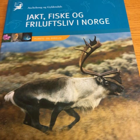 Annonsebilde