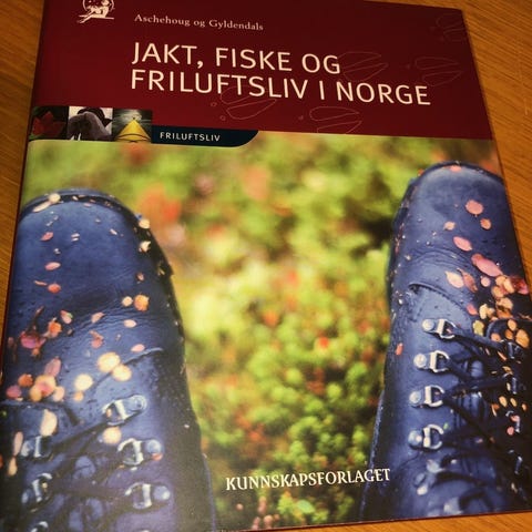 Annonsebilde