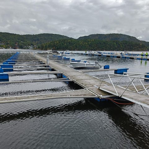 Pontonger for Flytebrygge, | FINN-torget
