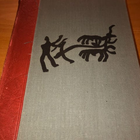 Annonsebilde