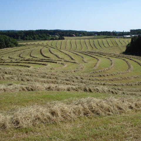 Annonsebilde
