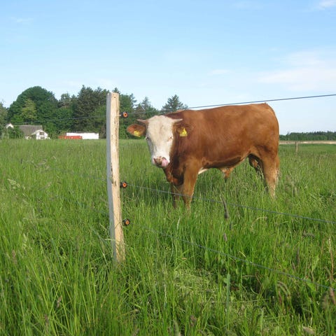 Annonsebilde