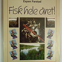 Annonsebilde