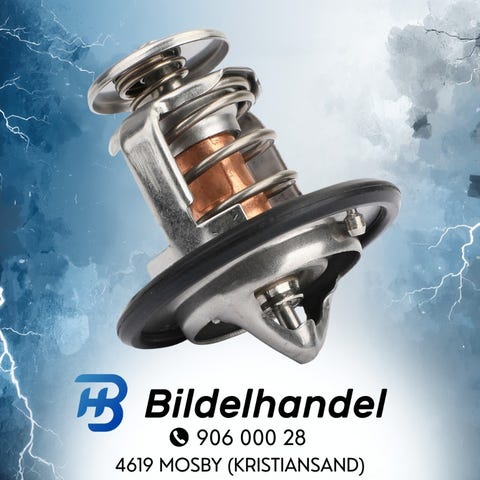 Annonsebilde