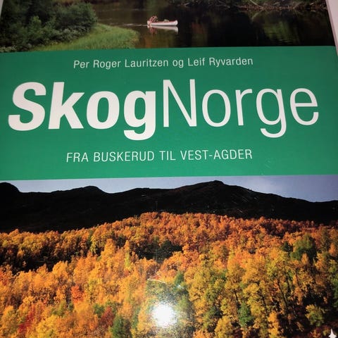 Annonsebilde