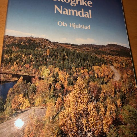 Annonsebilde