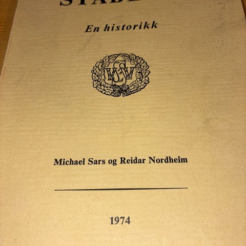 Annonsebilde