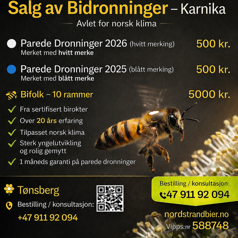 Annonsebilde