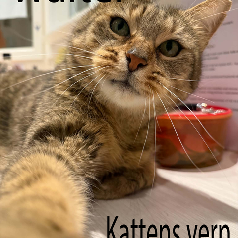 Annonsebilde