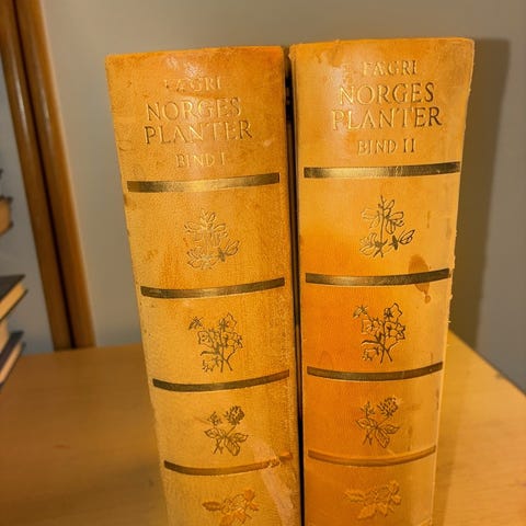Annonsebilde