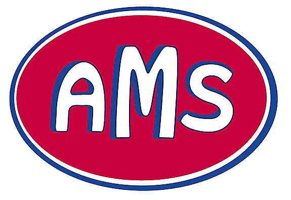 Auto Mobile Sales AS
