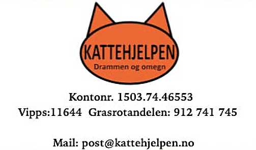 Kattehjelpen Drammen Og Omegn