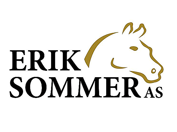ERIK SOMMER AS