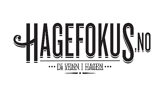 Hagefokus.no