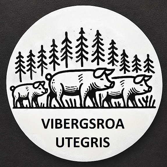 Viberg