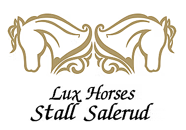 Lux Horses AS / Stall Salerud