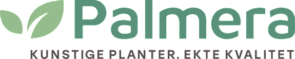 Palmera