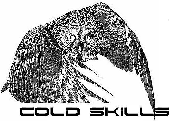 COLD SKILLS NORWAY