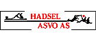 Hadsel Asvo AS