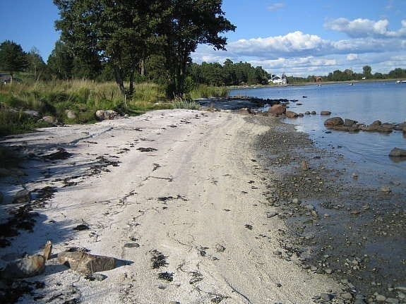 Sandstrand Galleribilde