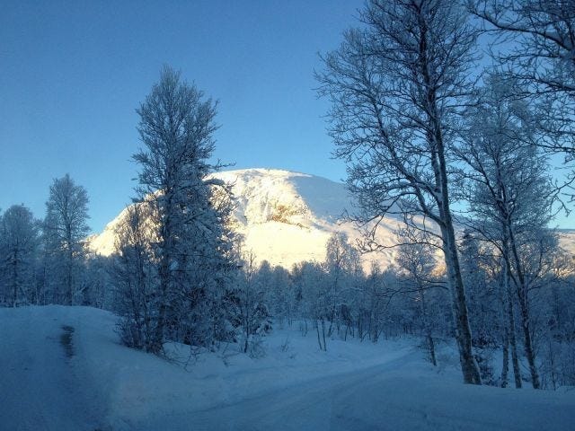 Utsikt fra stue vinduet mot Skogshorn Galleribilde