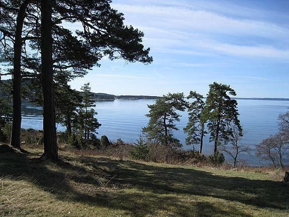 Utsikt over bukten Galleribilde