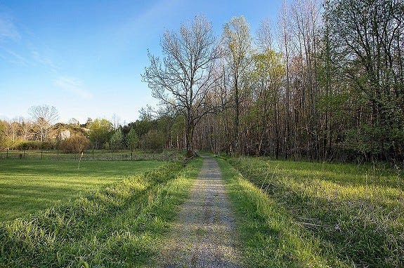 Tur sti på Ågerøya. Galleribilde