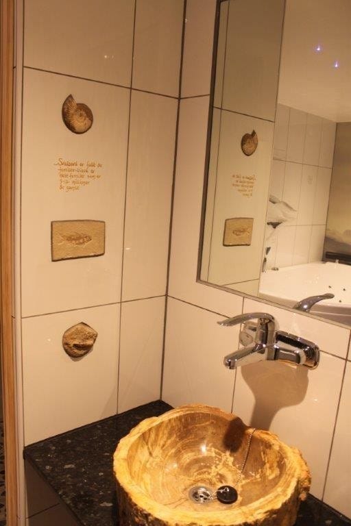 Fossil trevask og fossiler som er innmurt i fliser. Noen av fossilene er over 150 millioner år gamle. Galleribilde