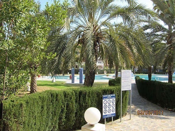 Mye palmer og grøntområder inne på området. Flott og gå rundt og se 😊 Galleribilde