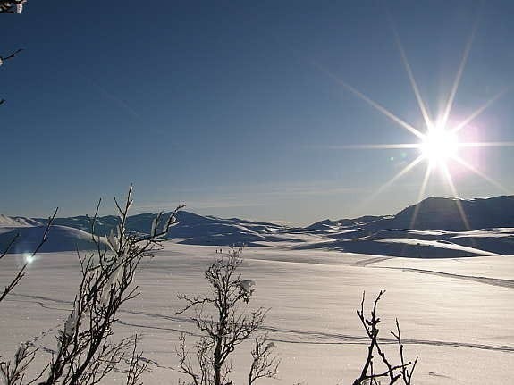 Silkedalen, med utsikt sørover mot Lognvik, 1 times skitur unna Galleribilde