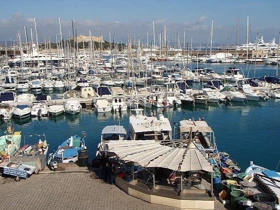 Fiskemottaket med alpene og le Fort Carré i bakgrunnen Galleribilde