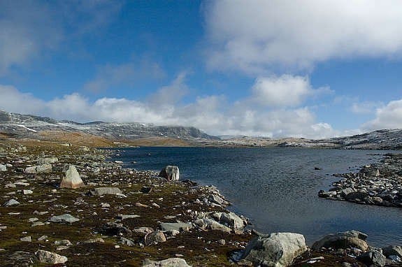 Hallingskarvet Galleribilde