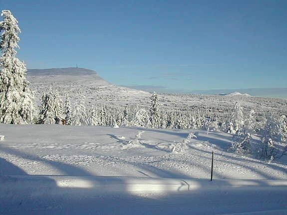 Hjertego, utsikt-vinter Galleribilde