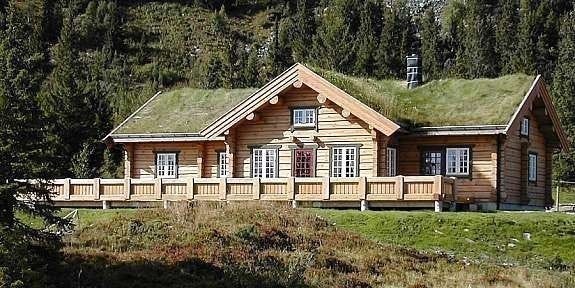 Hjertego sommer Galleribilde