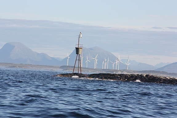 Torskholmlykta med vindparken i bakgrunn Galleribilde