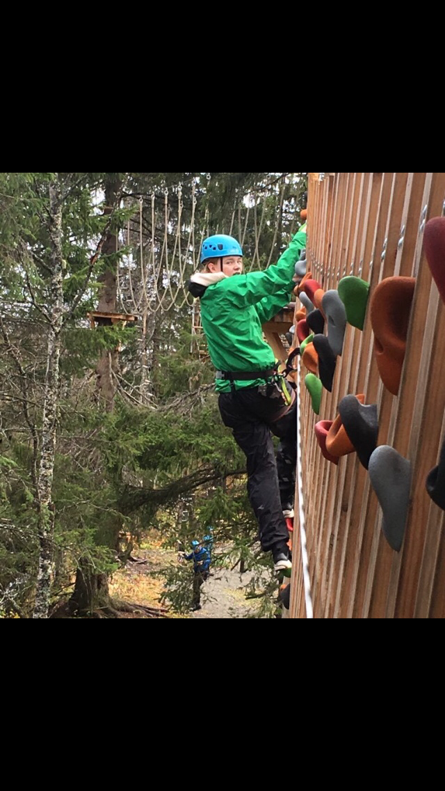 Høyt og Lavt klatrepark åpnet sommeren 2018. Gøy aktivitet for både barn og voksne:) Galleribilde