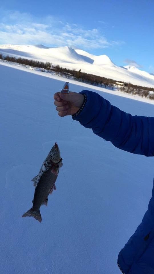 Bergetjønn isfiske Galleribilde