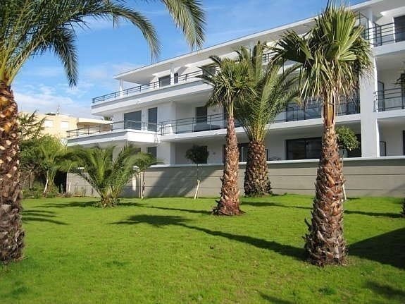 Palmer og appelsintrær i hagen foran bygningen Galleribilde