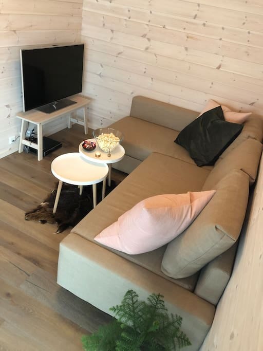 TV-stue/soverom (sovesofa) Galleribilde
