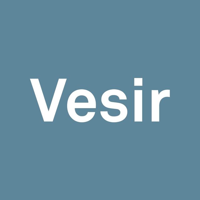 VESIR logo