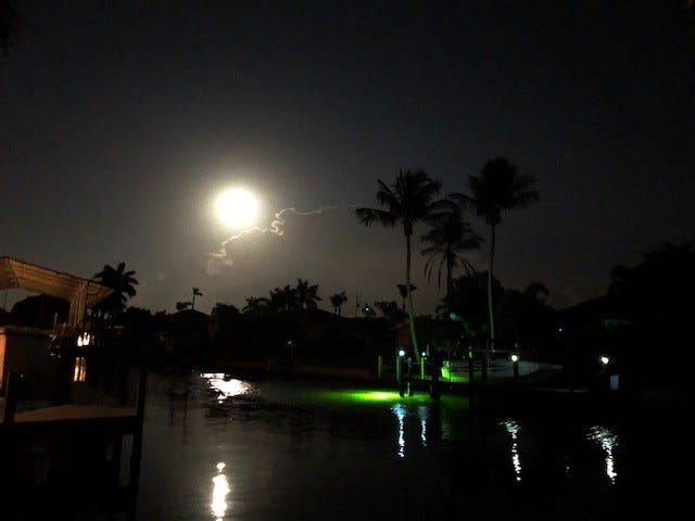 Måneskinn fra brygga Galleribilde