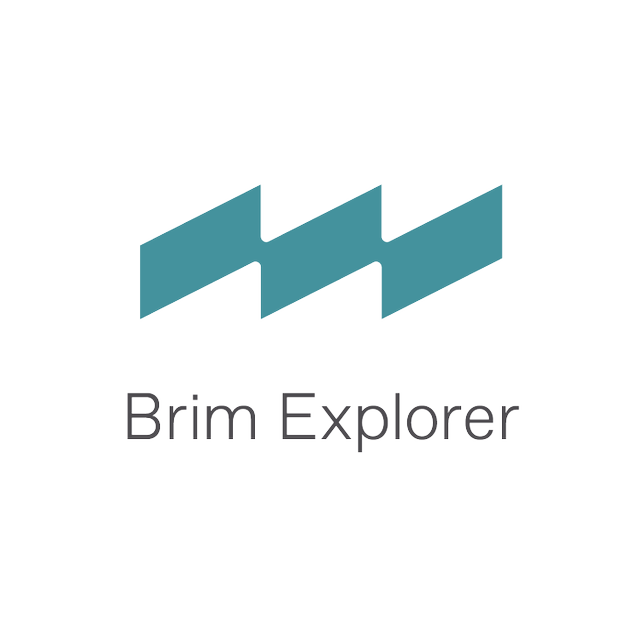 BRIM EXPLORER logo