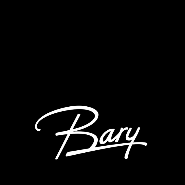 BARY AS logo
